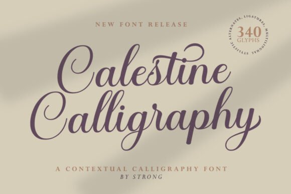 Calestine Calligraphy: A Designer’s Review for Modern Promo Campaigns